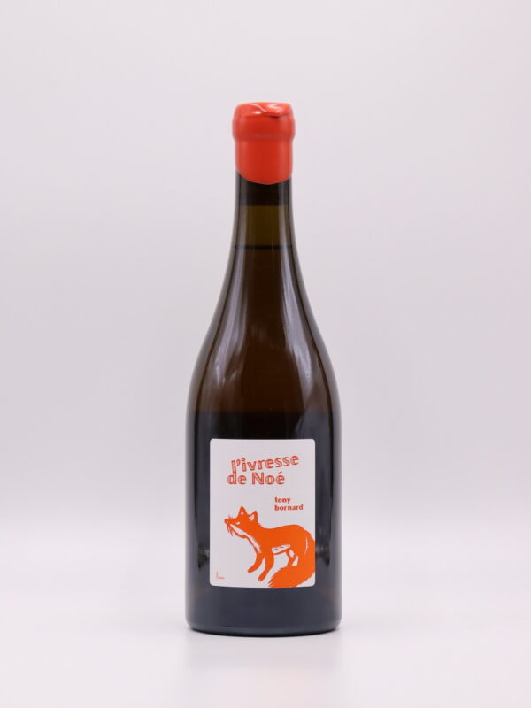 L'ivresse de Noé