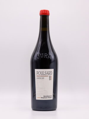 Poulsard Amphore