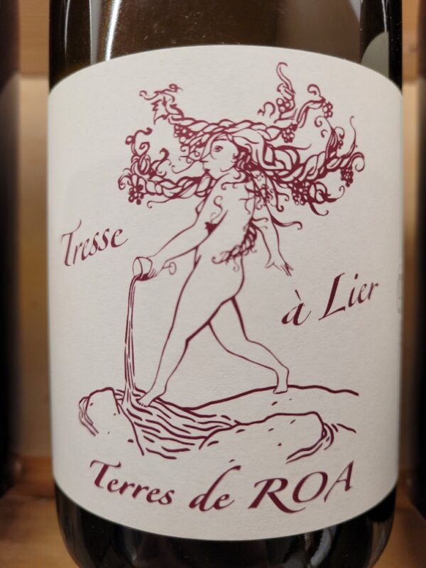 Tresse à Lier