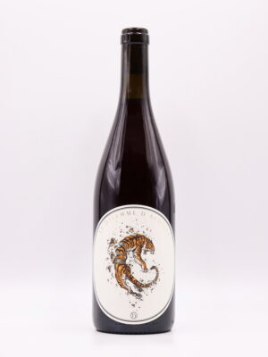 Le Dilemme d'Achille